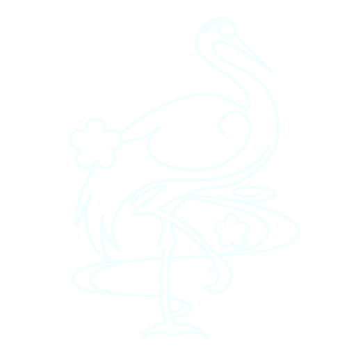 Аяка Constellations